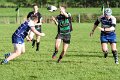 Monaghan 1st XV V. Newry - October 26th 2013 (18)